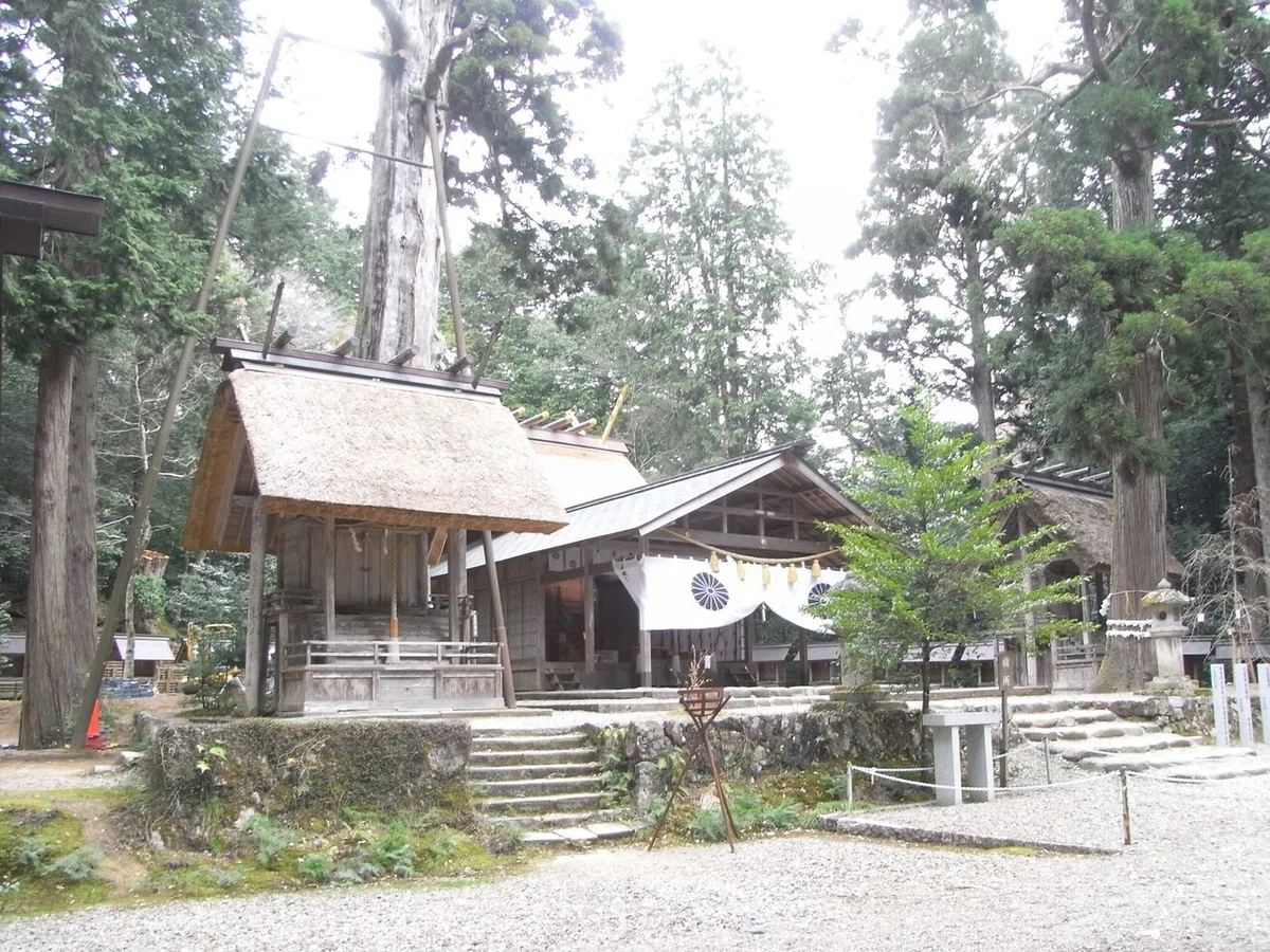 画像5