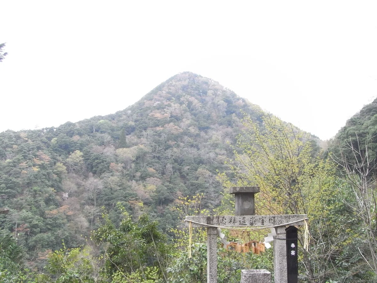 画像6