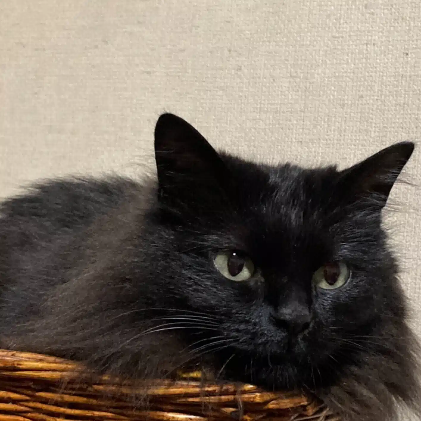 akiちゃん