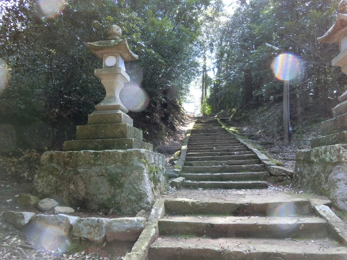 画像13