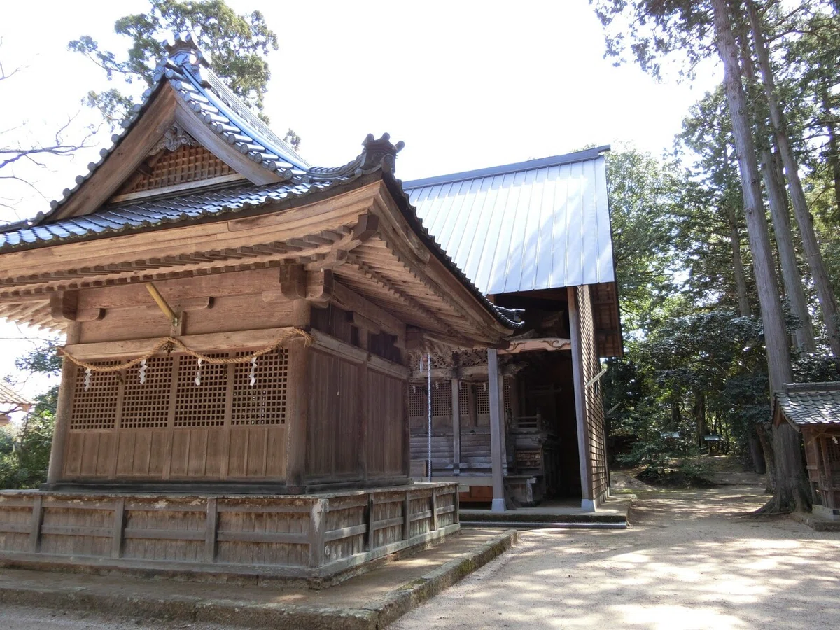 画像14
