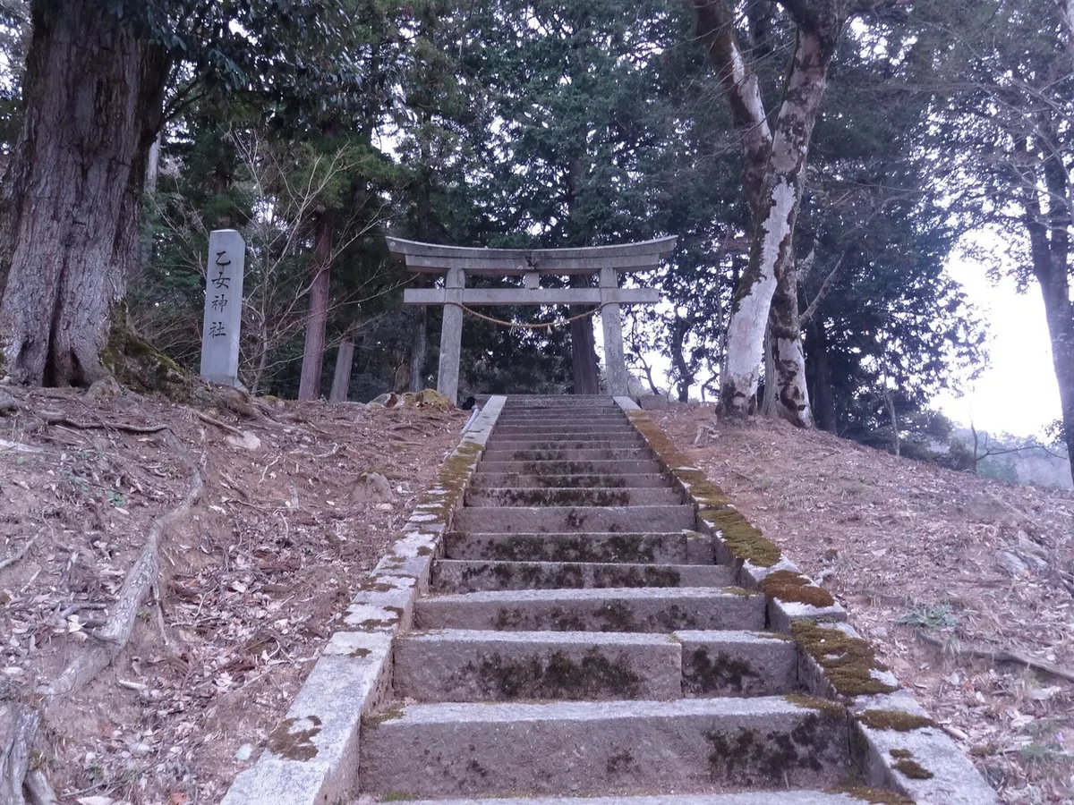 画像24