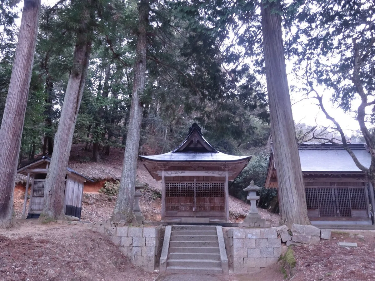 画像25
