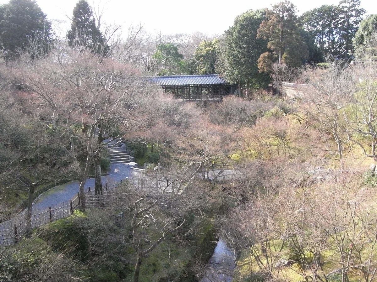 画像11
