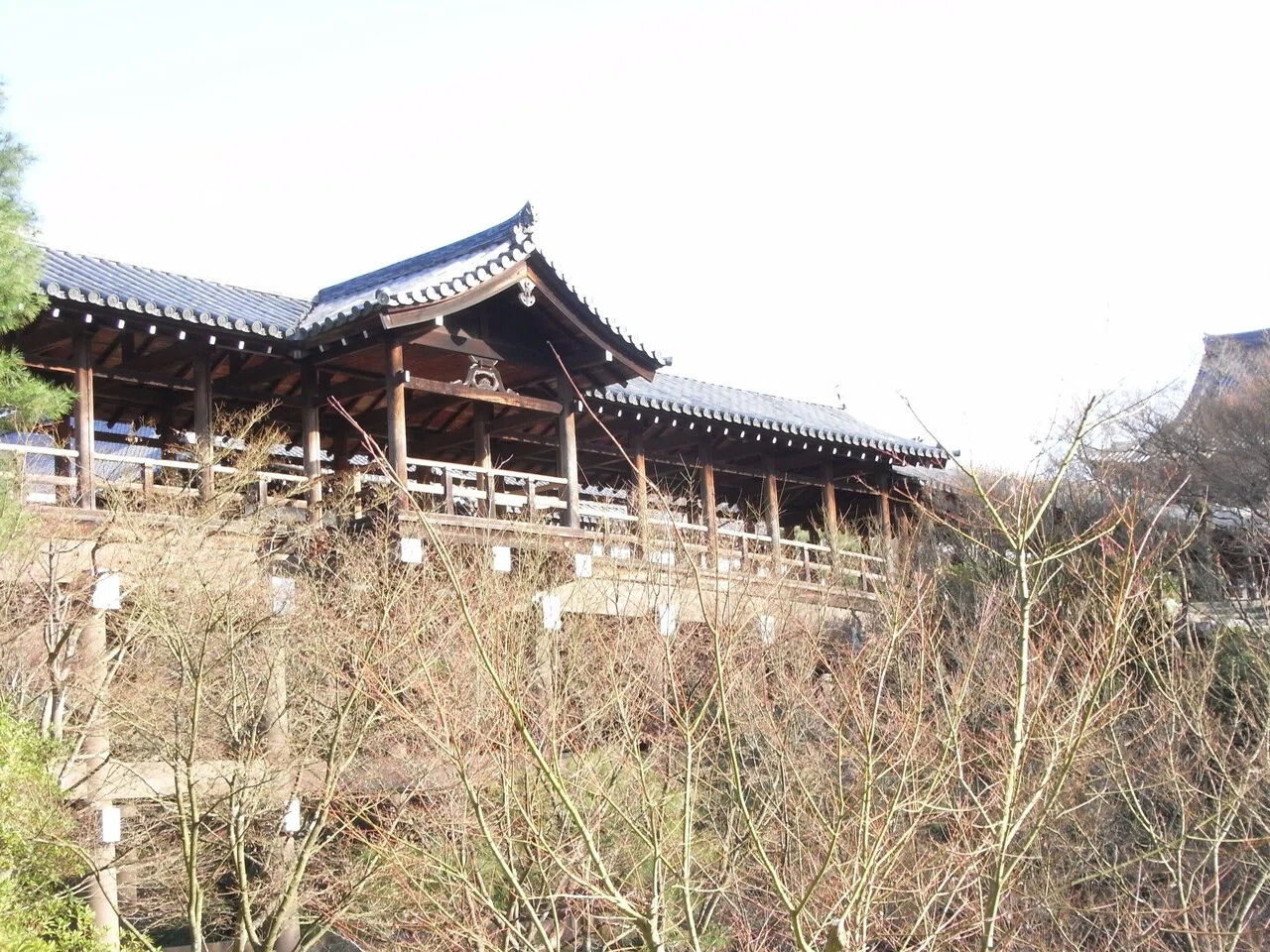 京都】京都五大寺「東福寺」は 東大寺 + 興福寺 で桜の名所だった