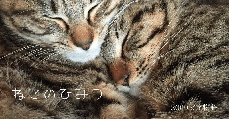 『猫の秘密』　＃はじまりのはじまり