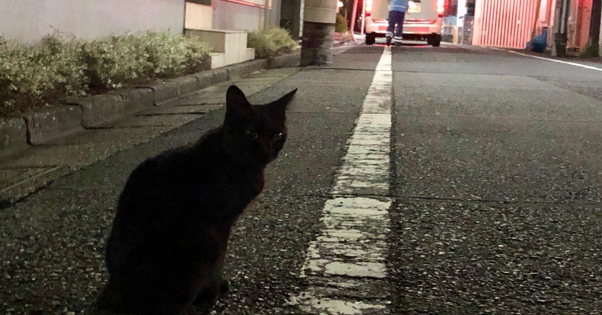 水曜日の黒猫 光が丘公園 武蔵家 ダサ坊のヤサ 21 8 15 メテオ Note 水曜日の黒猫 光が丘公園 武蔵家 ダサ坊のヤサ 21 8 15 メテオ Note
