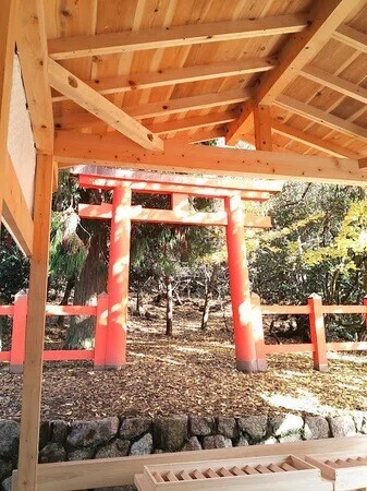 画像5