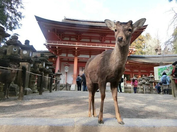 画像6