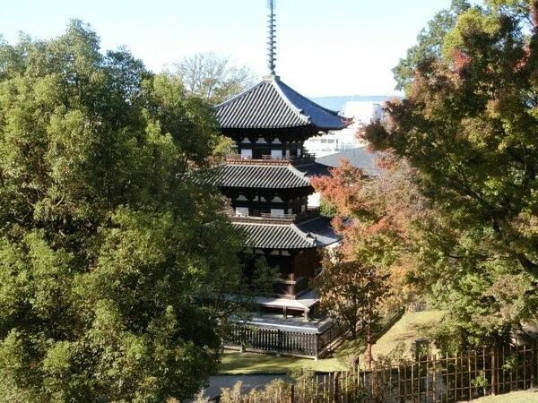 画像15