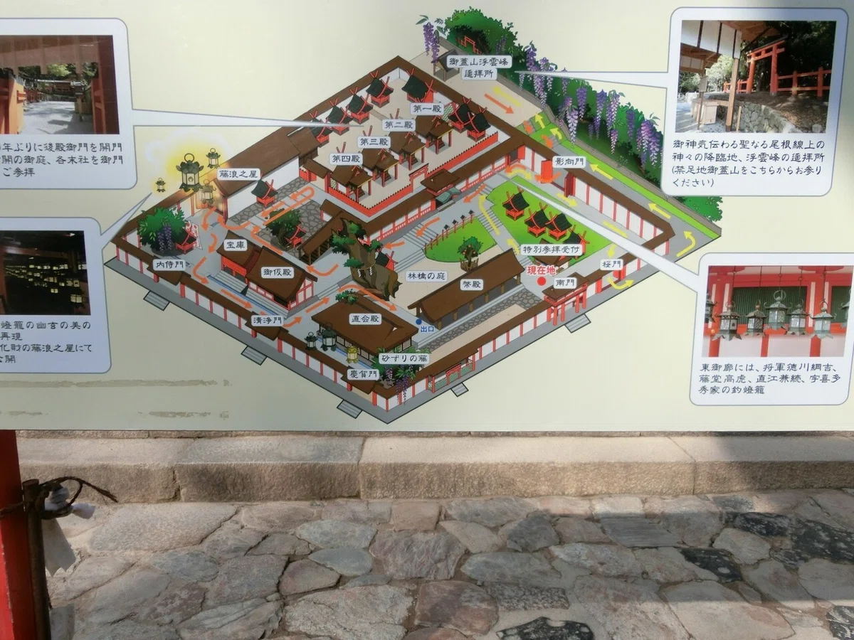 画像24