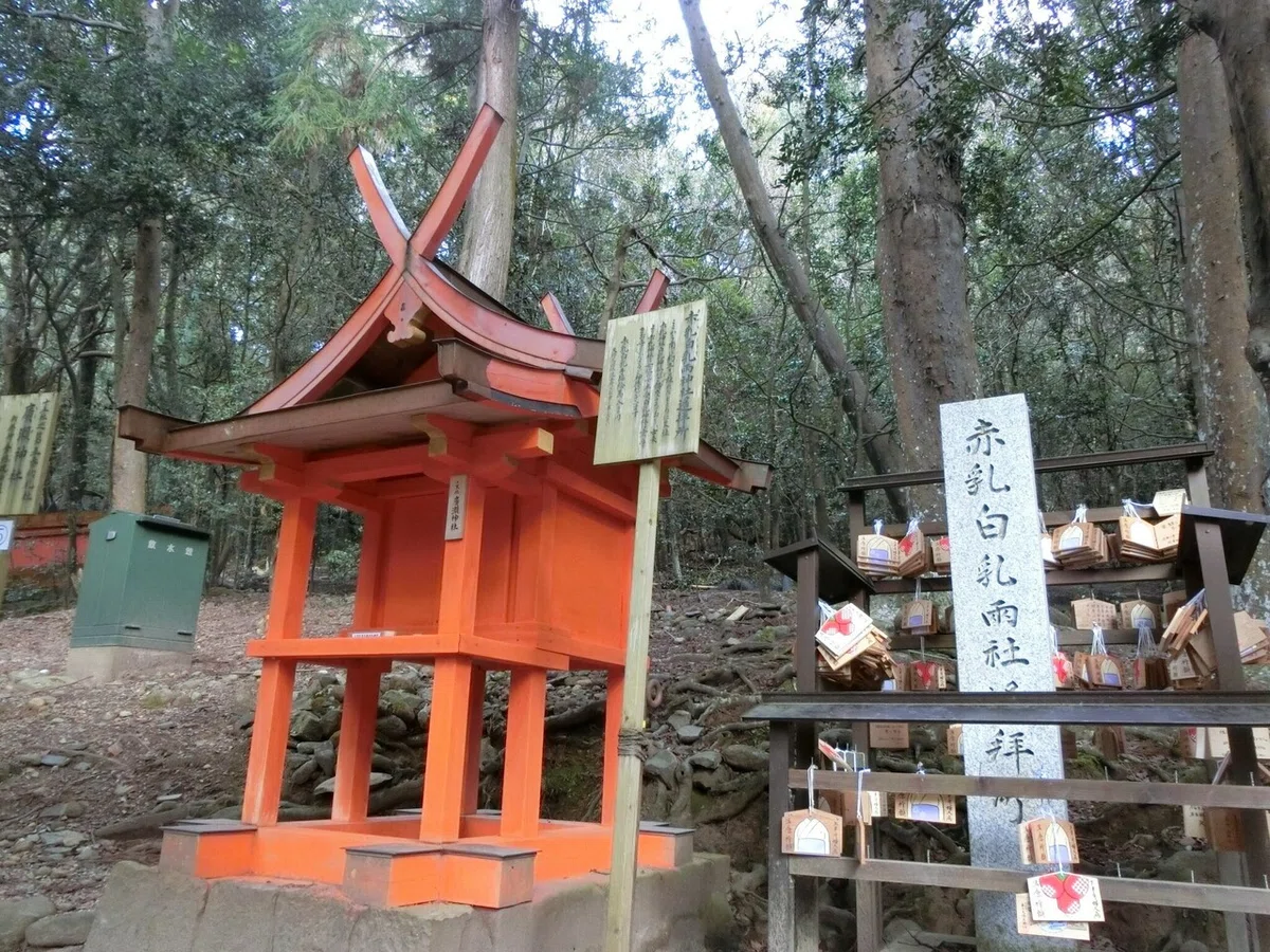 画像35