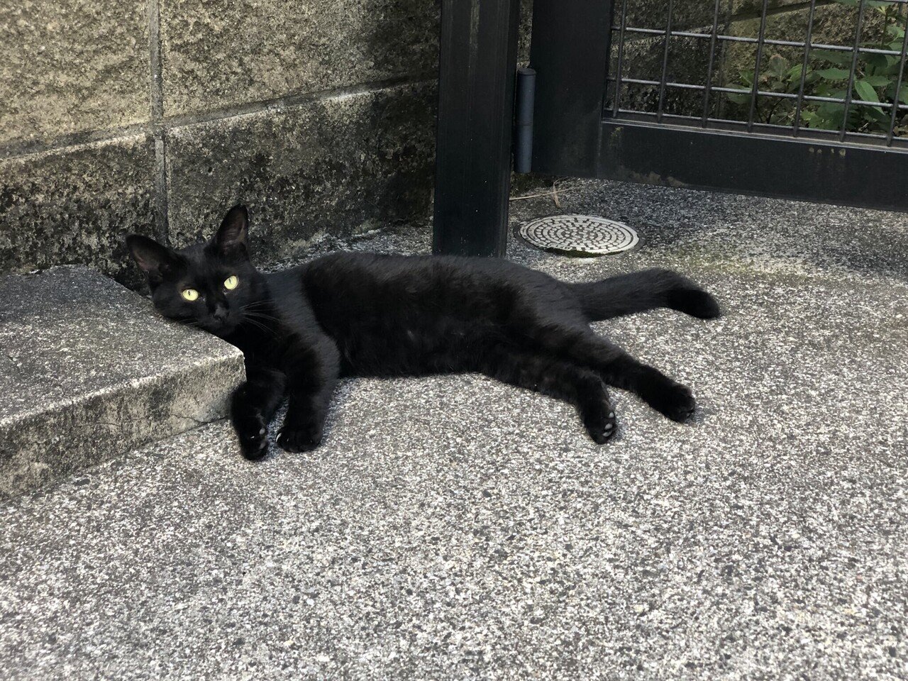 水曜日の黒猫 光が丘公園 武蔵家 ダサ坊のヤサ 21 8 15 メテオ Note 水曜日の黒猫 光が丘公園 武蔵家 ダサ坊のヤサ 21 8 15 メテオ Note