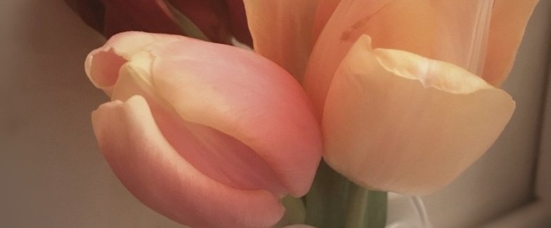 目からビーム 手からパワー 毛穴からオーラ Rico7 Note