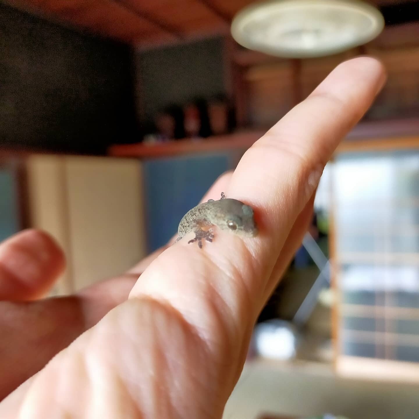 9fab65fa2d13af04d4096f6be82276