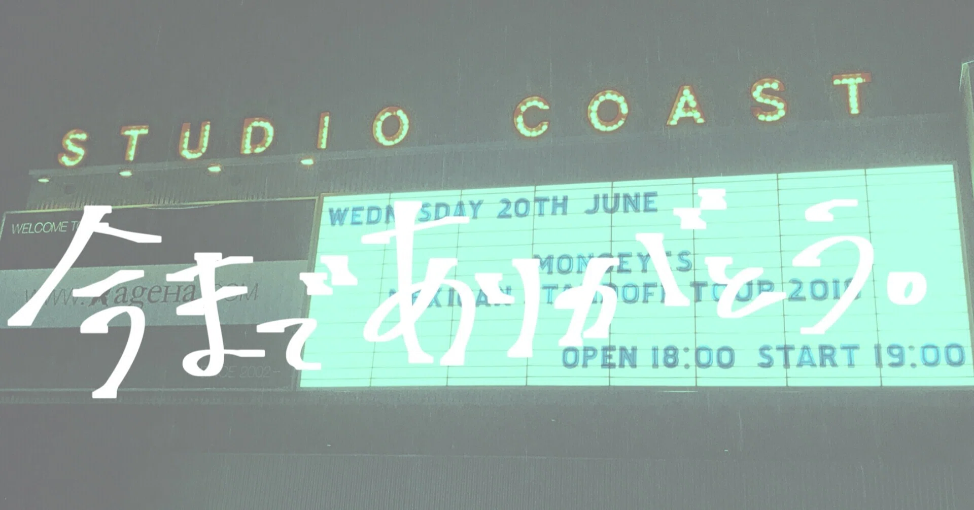 ありがとう】新木場STUDIO COASTでの思い出ベスト7｜紅葉