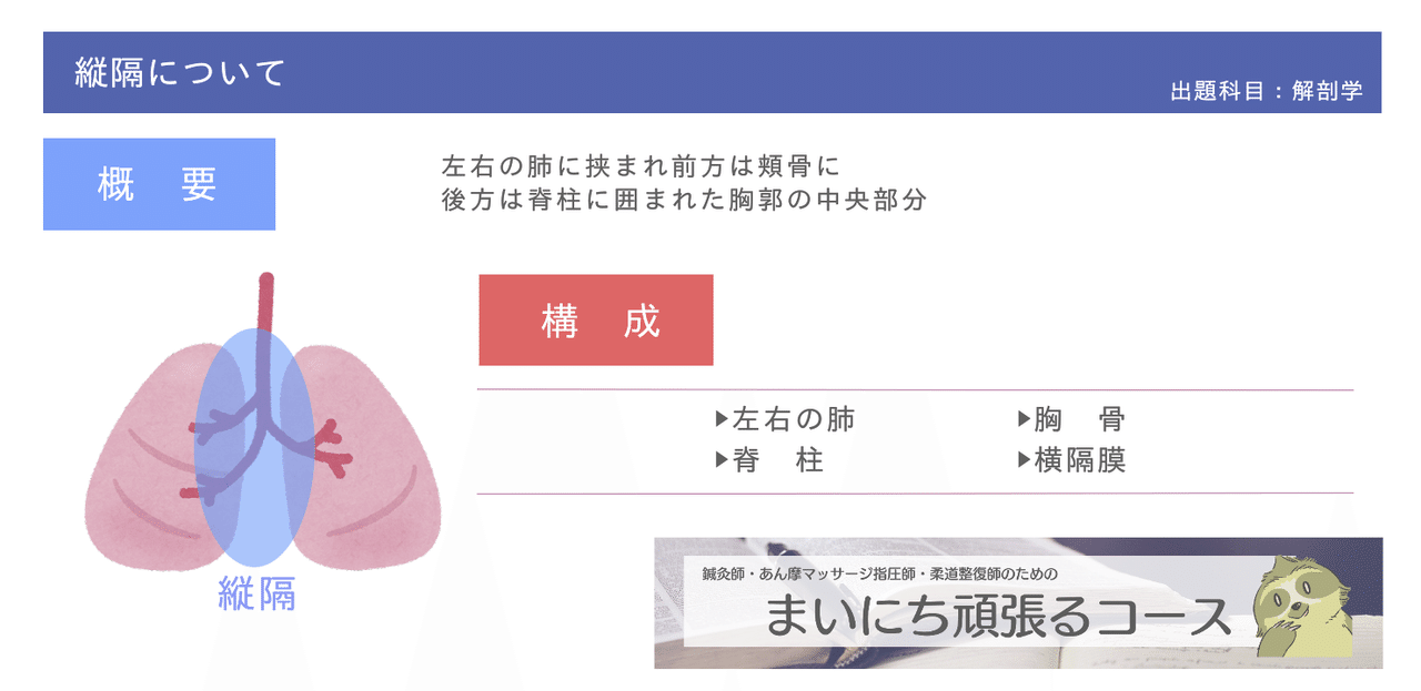 解剖学 図解イラストとゴロで簡単 縦隔にあるもの の覚え方 森元塾 国家試験対策 Note