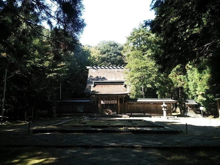 画像8