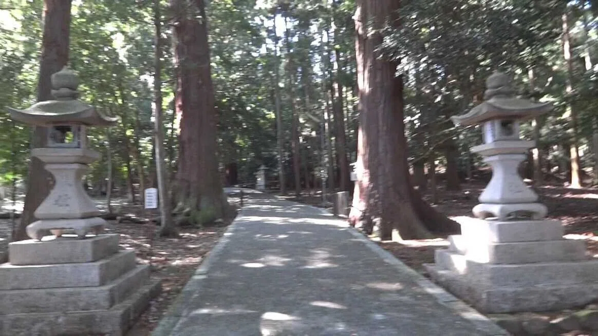 画像8