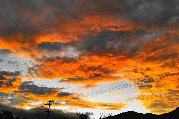 借りぐらしのアリエッティ の定番タグ記事一覧 Note つくる つながる とどける