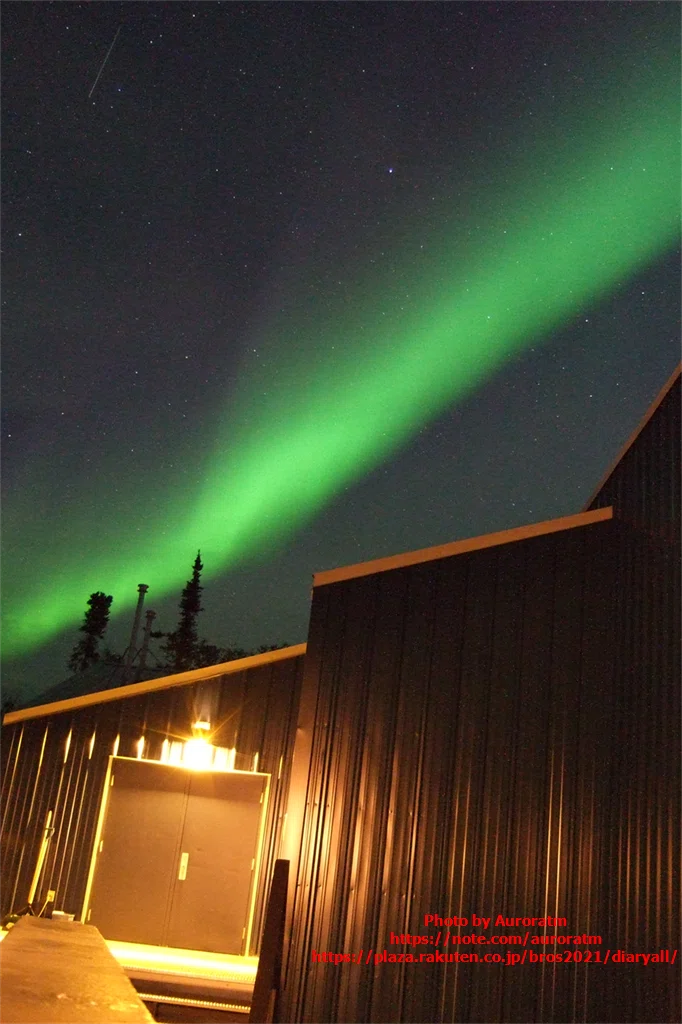 But we are the bearers of the future, light in human form｜Auroratm