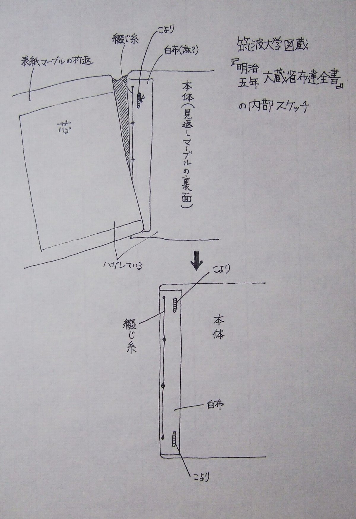 画像24