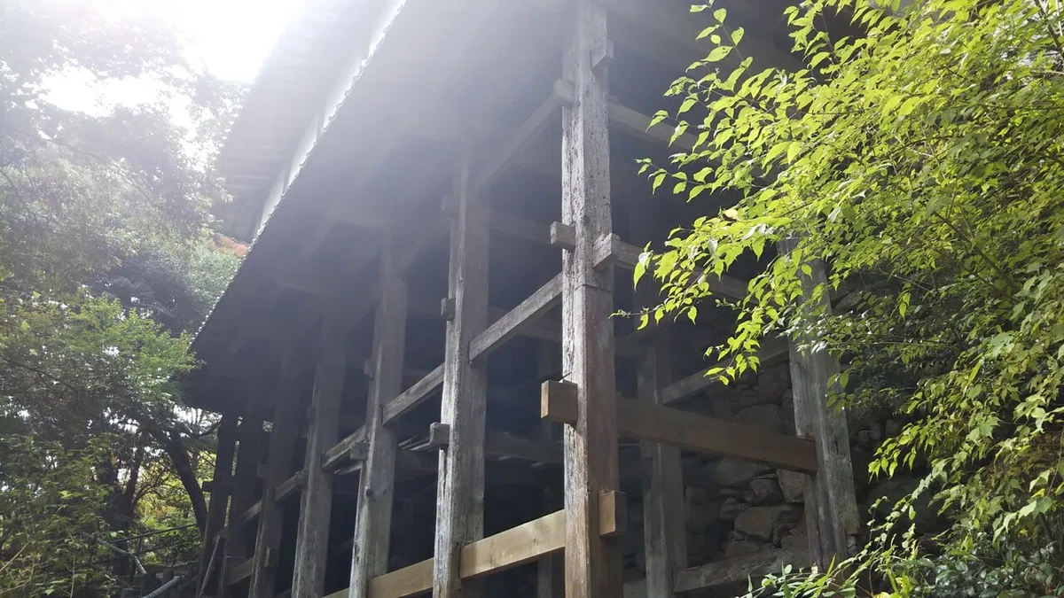 画像8