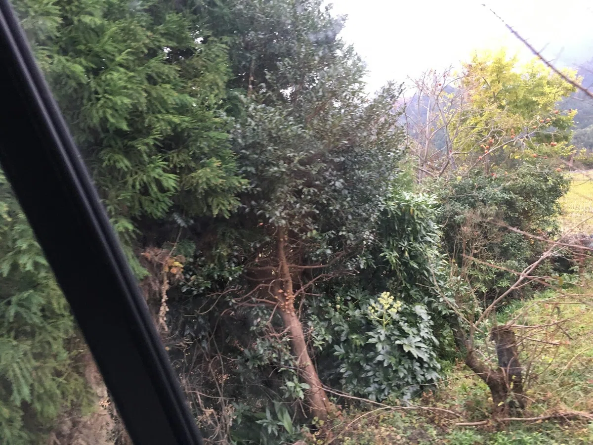 画像7