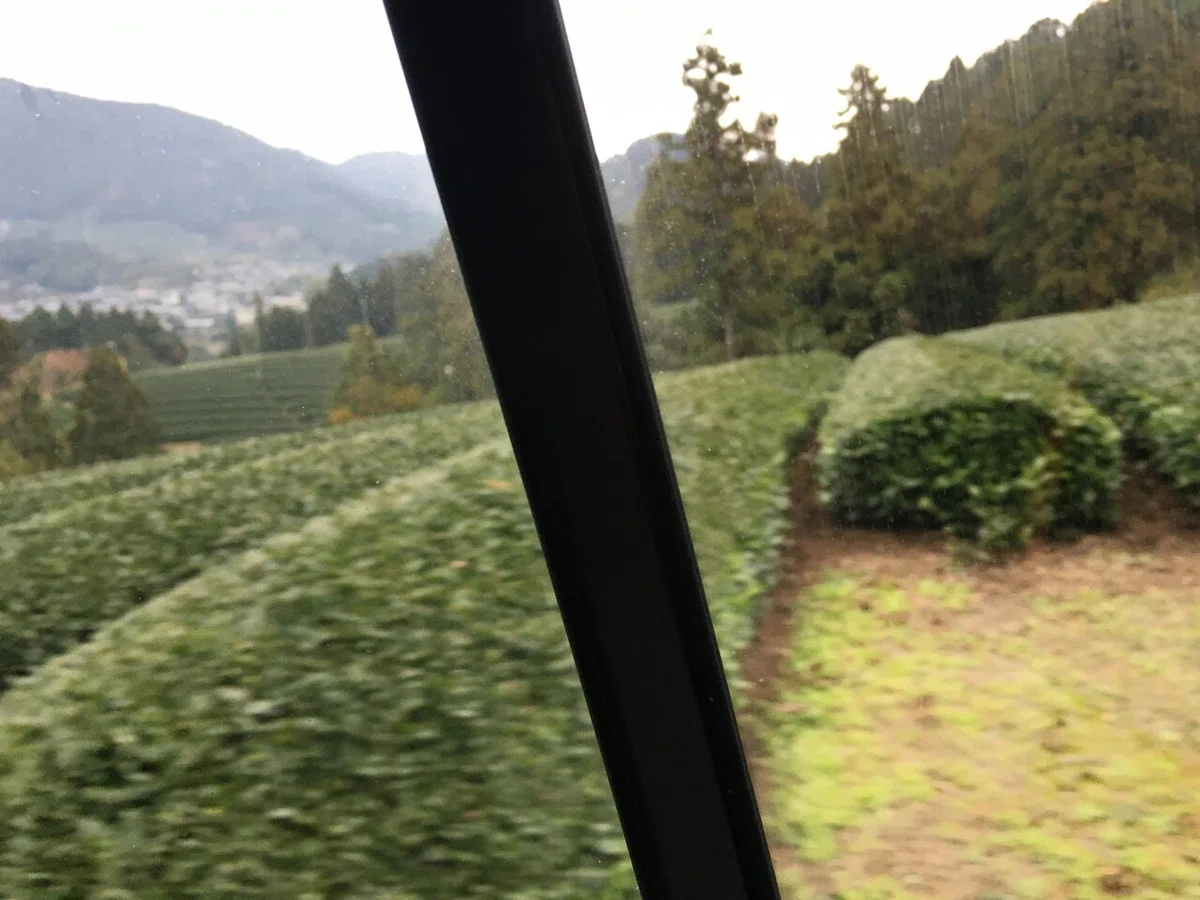 画像7