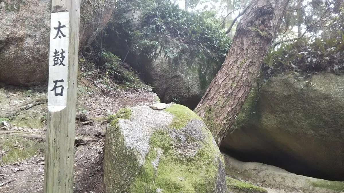 画像17