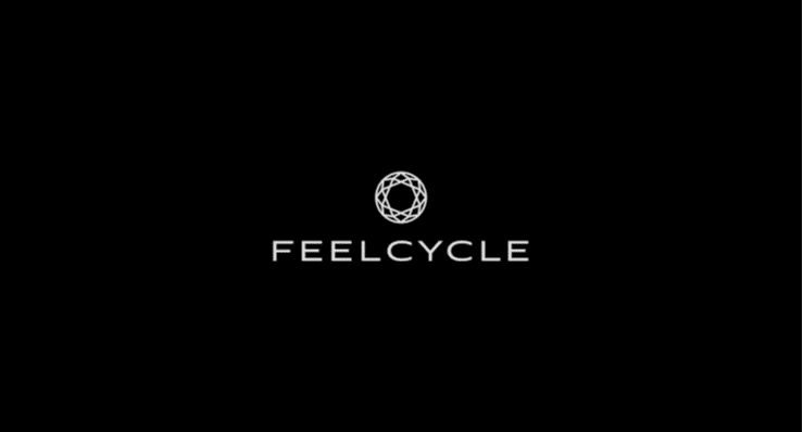 その他 Feelcycle For KAWASAKI Z800 Z900 Z1000 Z1000R Z1000SX Z900RS Z900RS