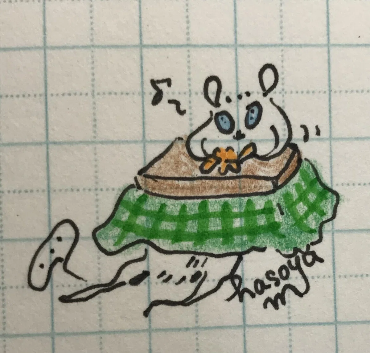 画像1