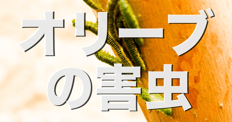 オリーブの害虫と農薬の選択はどれがいいのか オリーブ農家の日常 Note オリーブの害虫と農薬の選択はどれがいいのか オリーブ農家の日常 Note