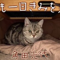 エッセイ連載 角田光代 明日も一日きみを見てる 小説 野性時代 エッセイ連載 角田光代 明日も一日きみを見てる 小説 野性時代