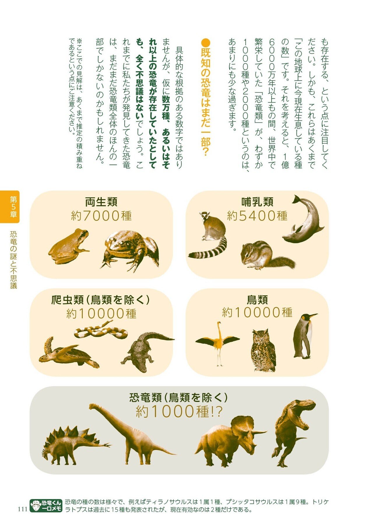 続々発見! ウワサの「羽毛恐竜」ってどんな恐竜? #5 知識ゼロからの