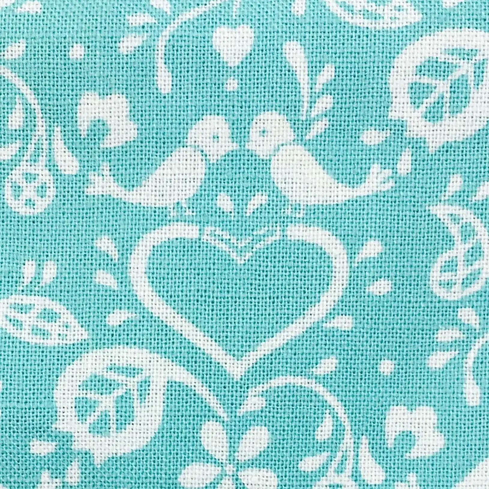 kobato hayakawa