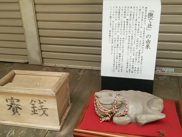 画像18