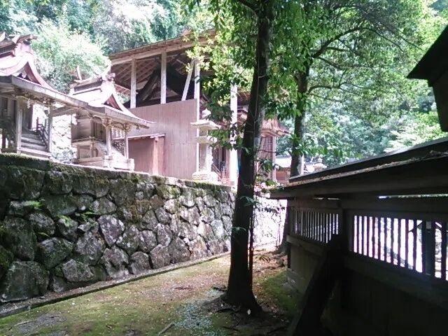 画像19