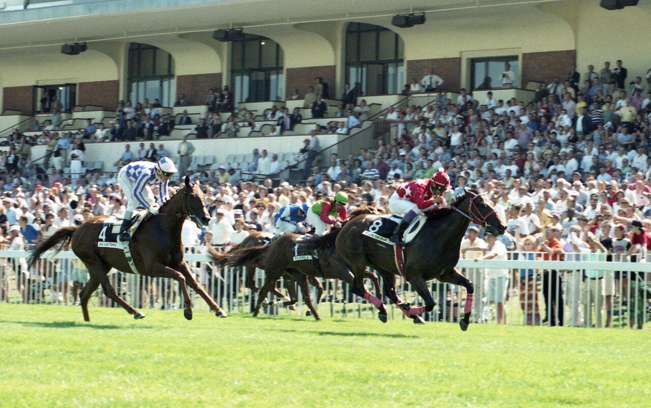 シーキングザパール｜名馬メモリアル｜競馬情報ならJRA-VAN