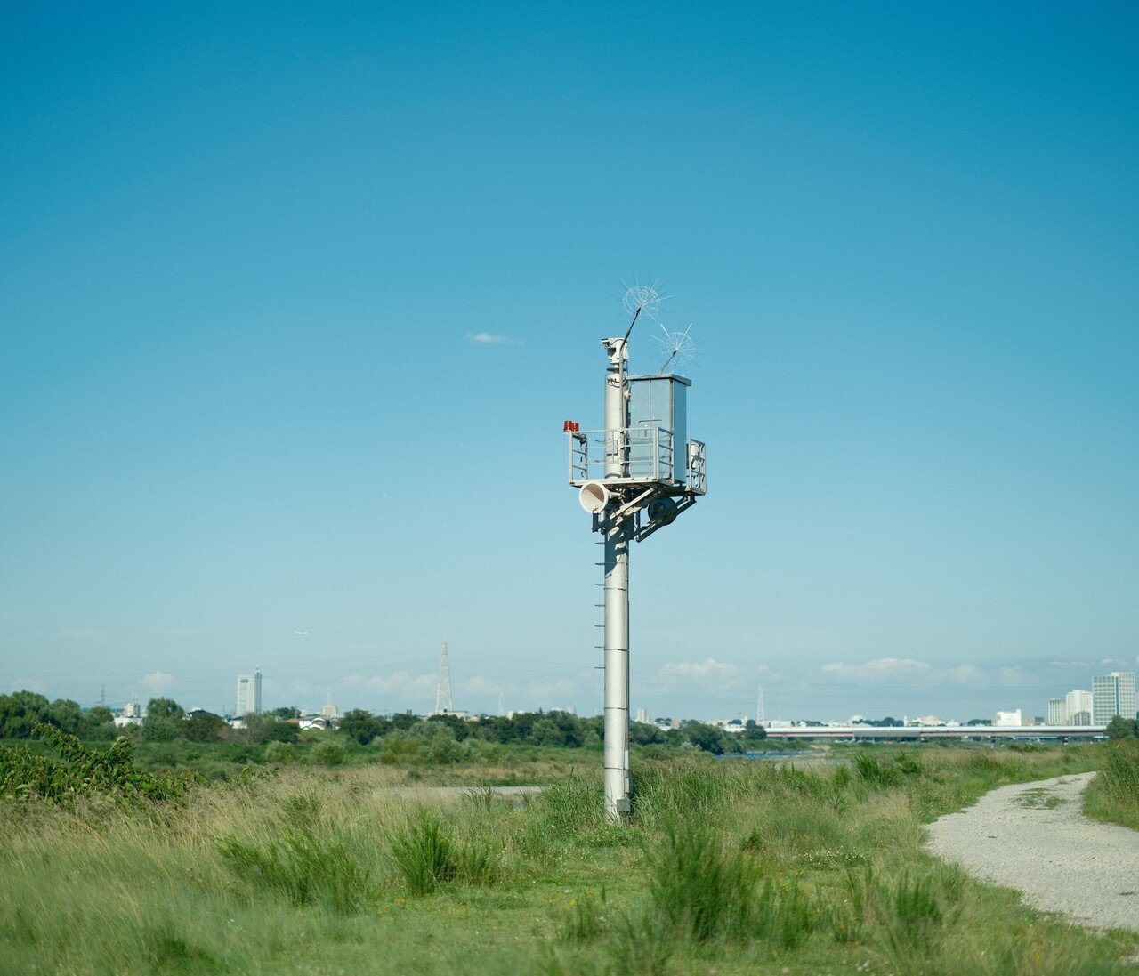 ノスタルジックネガのファーストインプレッション Gfx100s 004 Tamunyan Note ノスタルジックネガのファーストインプレッション Gfx100s 004 Tamunyan Note