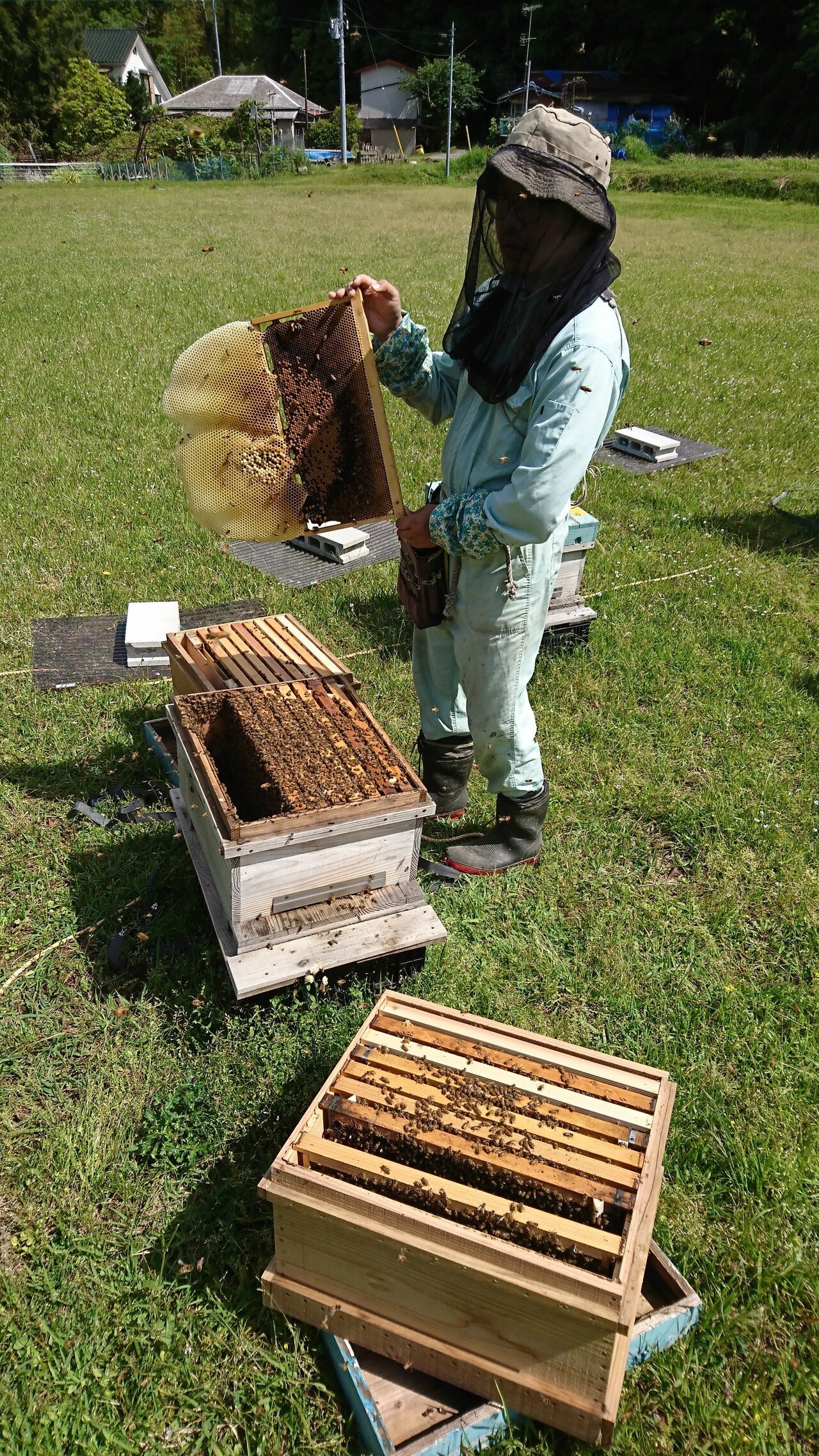 始めましてBeekeeper齊藤です｜Beekeeper齊藤