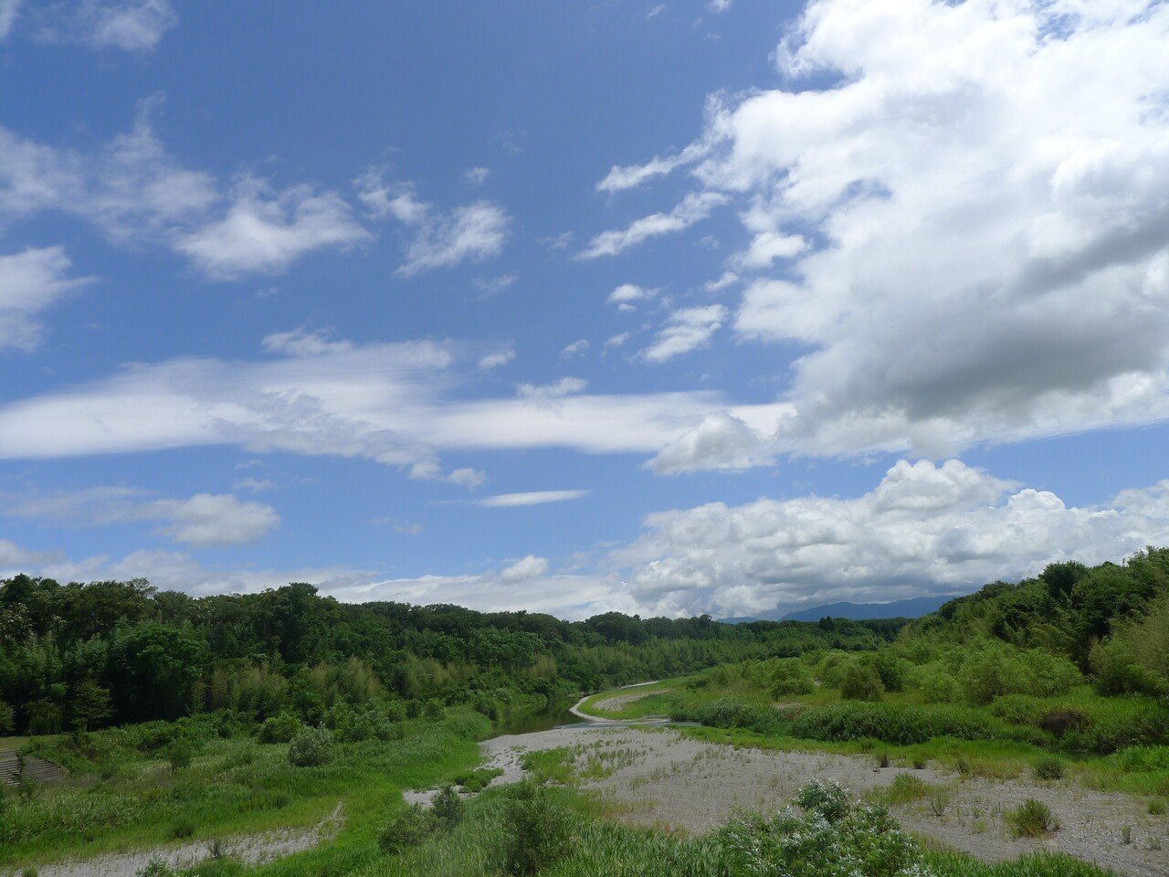 画像14