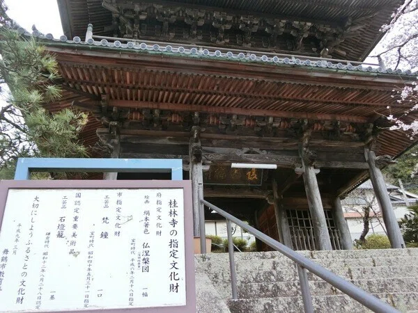 画像7