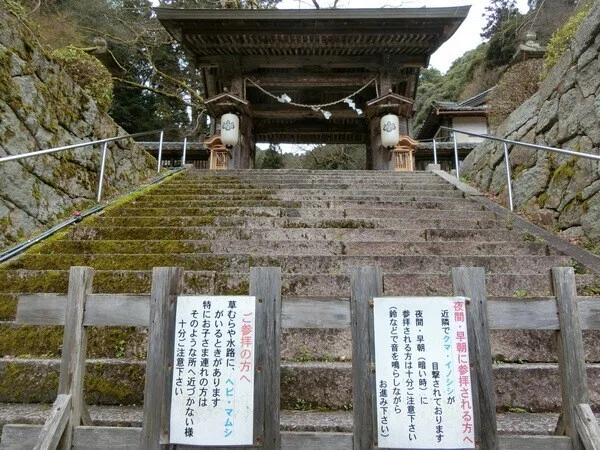 画像11