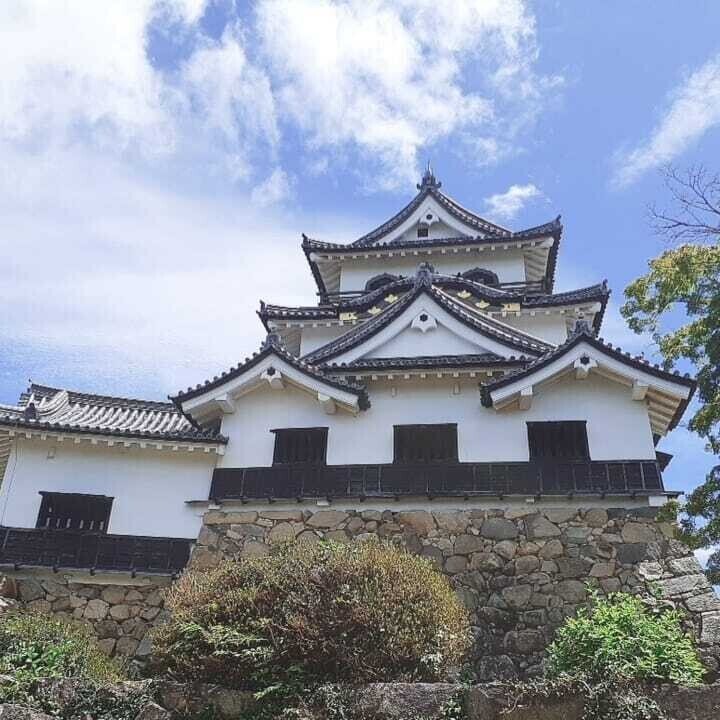 画像22