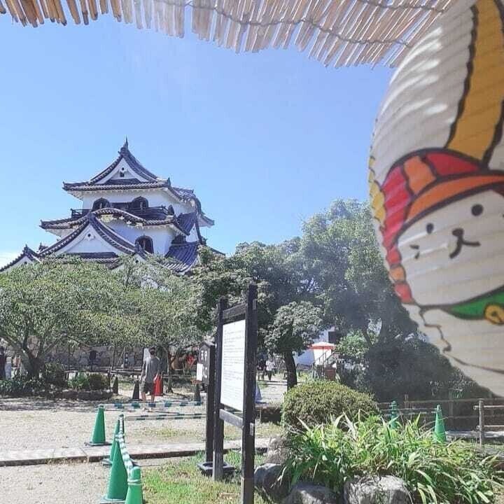 画像25