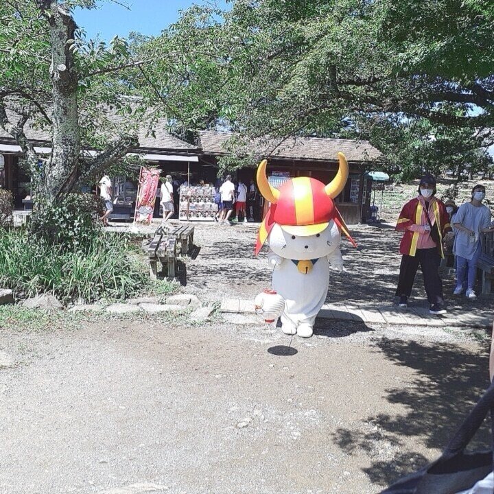 画像29