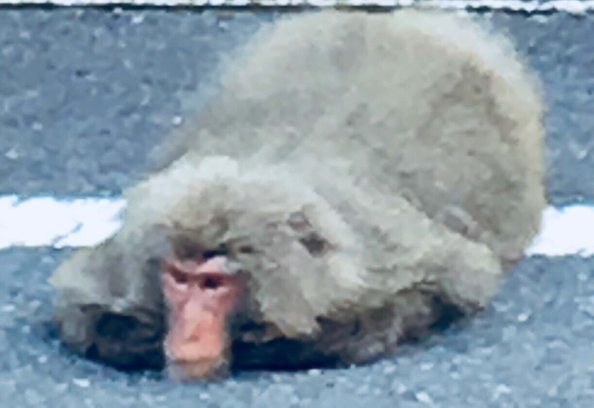 さる Z/X -Zillions of enemy X- ユニゾンドライブ | TCG / サプライ| 株式