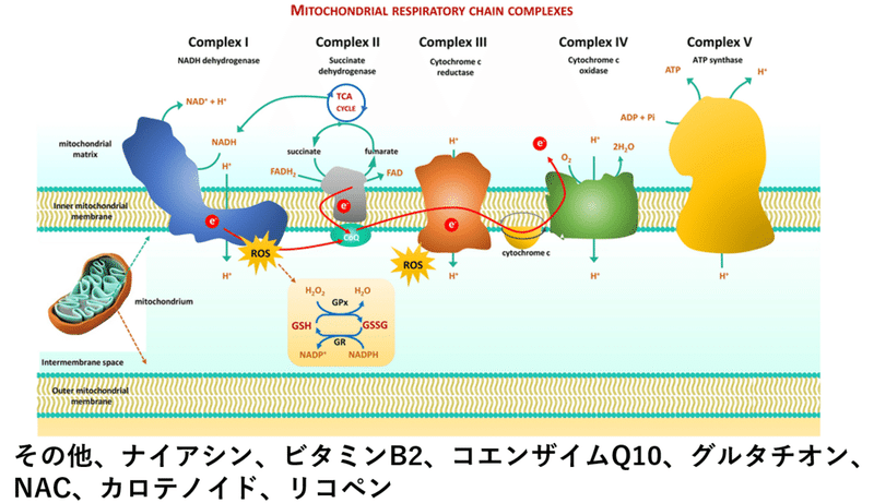 スクリーンショット (2032)
