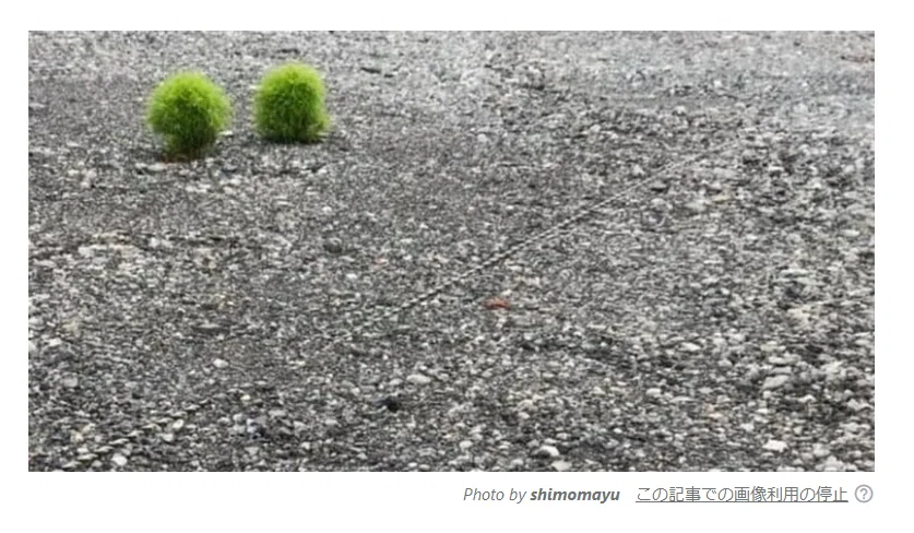 緑のモコモコの見出し画像使用